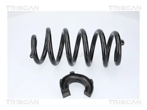 Fahrwerksfeder Hinterachse TRISCAN 8750 29578