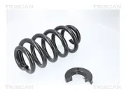 Fahrwerksfeder Hinterachse TRISCAN 8750 29579
