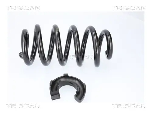 Fahrwerksfeder Hinterachse TRISCAN 8750 29579 Bild Fahrwerksfeder Hinterachse TRISCAN 8750 29579