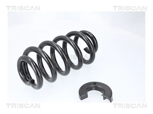 Fahrwerksfeder Hinterachse TRISCAN 8750 29579 Bild Fahrwerksfeder Hinterachse TRISCAN 8750 29579