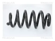 Fahrwerksfeder Hinterachse TRISCAN 8750 29580