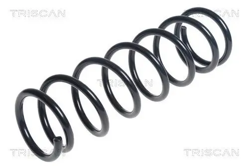 Fahrwerksfeder Hinterachse TRISCAN 8750 40103