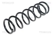 Fahrwerksfeder Hinterachse TRISCAN 8750 40103