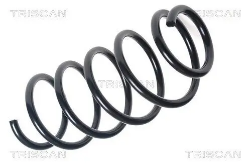 Fahrwerksfeder Vorderachse TRISCAN 8750 40106