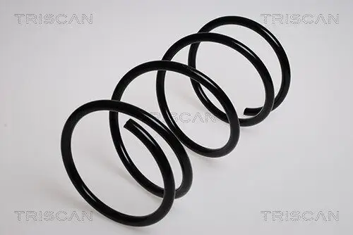 Fahrwerksfeder Vorderachse TRISCAN 8750 4042 Bild Fahrwerksfeder Vorderachse TRISCAN 8750 4042