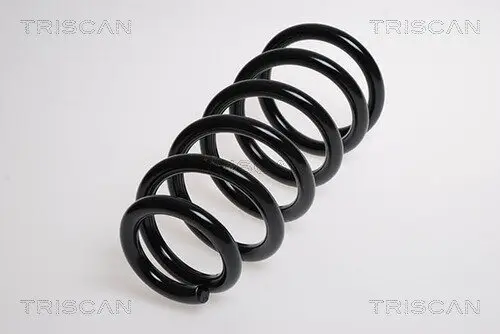Fahrwerksfeder Hinterachse TRISCAN 8750 4072