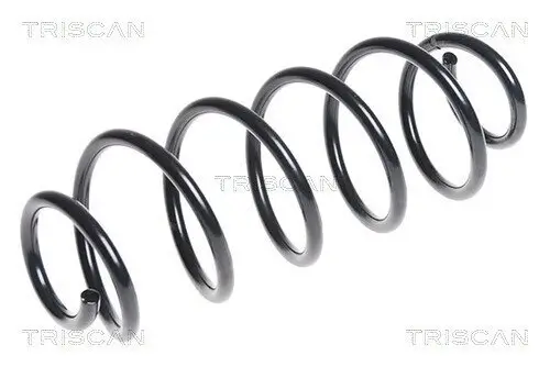 Fahrwerksfeder Hinterachse TRISCAN 8750 4099 Bild Fahrwerksfeder Hinterachse TRISCAN 8750 4099