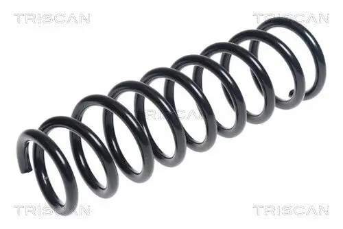 Fahrwerksfeder Hinterachse TRISCAN 8750 42113 Bild Fahrwerksfeder Hinterachse TRISCAN 8750 42113