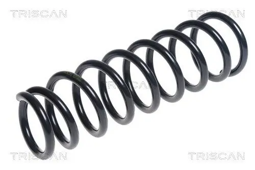 Fahrwerksfeder Hinterachse TRISCAN 8750 42115