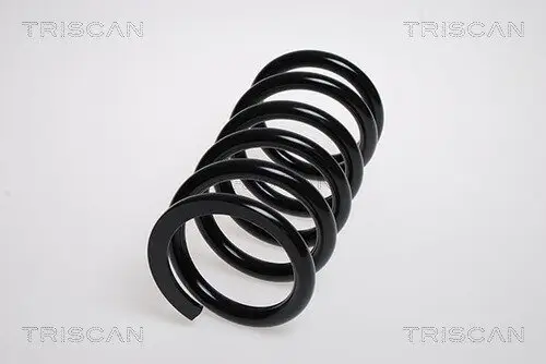 Fahrwerksfeder Hinterachse TRISCAN 8750 4249