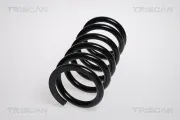 Fahrwerksfeder Hinterachse TRISCAN 8750 4249