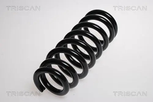 Fahrwerksfeder Vorderachse TRISCAN 8750 4258