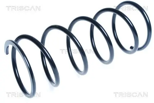 Fahrwerksfeder Hinterachse TRISCAN 8750 4281