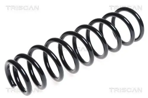 Fahrwerksfeder Hinterachse TRISCAN 8750 4290 Bild Fahrwerksfeder Hinterachse TRISCAN 8750 4290