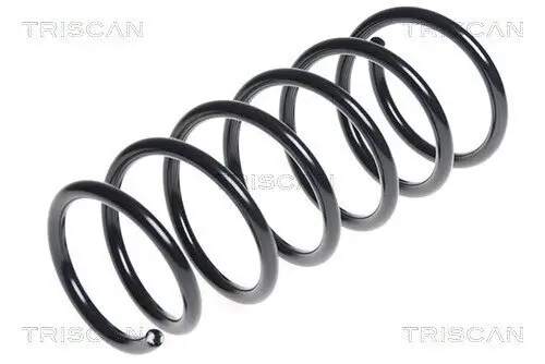 Fahrwerksfeder Hinterachse TRISCAN 8750 4373 Bild Fahrwerksfeder Hinterachse TRISCAN 8750 4373