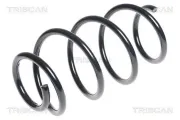 Fahrwerksfeder Vorderachse TRISCAN 8750 4389