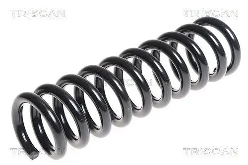 Fahrwerksfeder Hinterachse TRISCAN 8750 4401