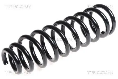 Fahrwerksfeder Vorderachse TRISCAN 8750 4402