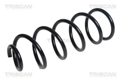 Fahrwerksfeder Hinterachse TRISCAN 8750 50106