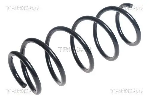 Fahrwerksfeder Vorderachse TRISCAN 8750 50123