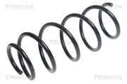 Fahrwerksfeder Vorderachse TRISCAN 8750 50123
