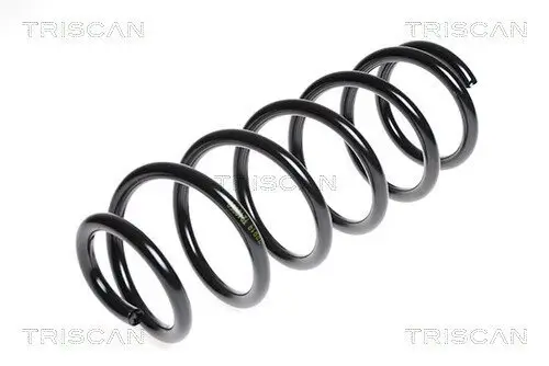 Fahrwerksfeder Hinterachse TRISCAN 8750 5063