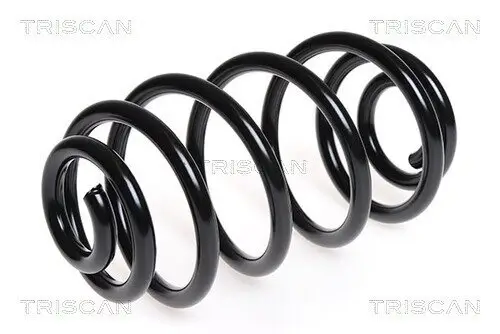 Fahrwerksfeder Hinterachse TRISCAN 8750 6545