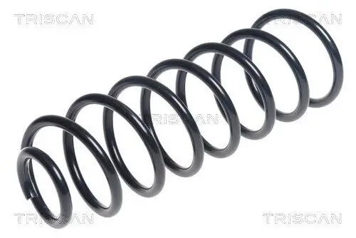Fahrwerksfeder Hinterachse TRISCAN 8750 6552
