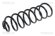 Fahrwerksfeder Hinterachse TRISCAN 8750 6553