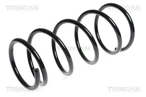 Fahrwerksfeder Vorderachse TRISCAN 8750 6830