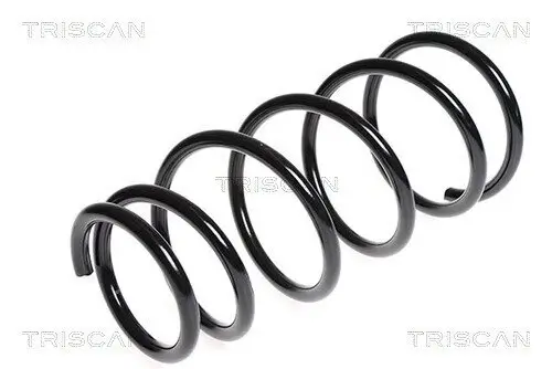 Fahrwerksfeder Hinterachse TRISCAN 8750 6832
