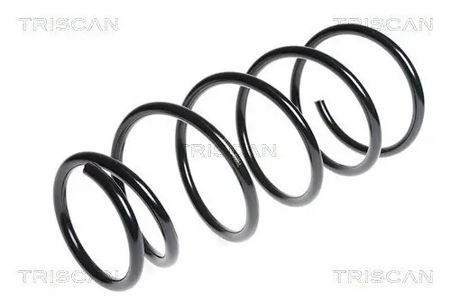 Fahrwerksfeder Hinterachse TRISCAN 8750 6833