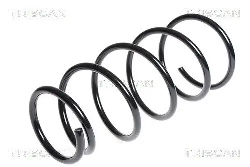 Fahrwerksfeder Hinterachse TRISCAN 8750 6835