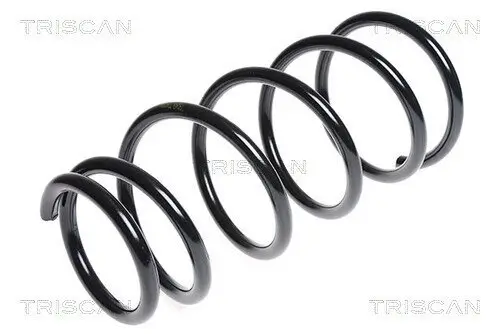 Fahrwerksfeder Hinterachse TRISCAN 8750 6854