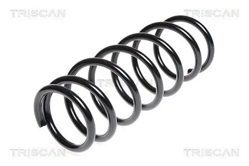 Fahrwerksfeder Hinterachse TRISCAN 8750 6919 Bild Fahrwerksfeder Hinterachse TRISCAN 8750 6919