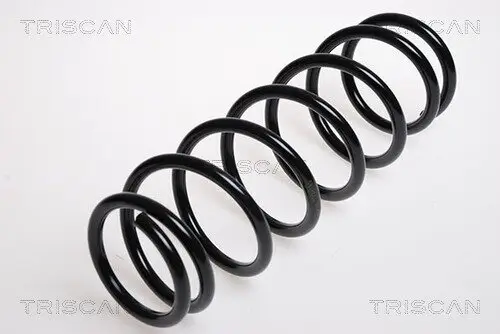 Fahrwerksfeder Vorderachse TRISCAN 8750 6923