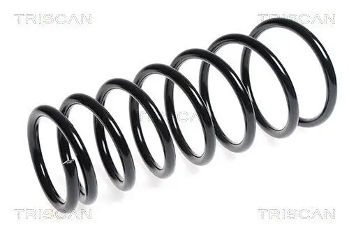 Fahrwerksfeder Vorderachse TRISCAN 8750 6943
