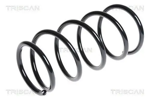 Fahrwerksfeder Hinterachse TRISCAN 8750 6944