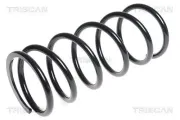 Fahrwerksfeder Vorderachse TRISCAN 8750 6954