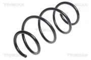 Fahrwerksfeder Vorderachse TRISCAN 8750 6958