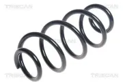 Fahrwerksfeder Hinterachse TRISCAN 8750 6965