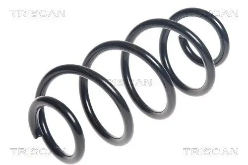 Fahrwerksfeder Hinterachse TRISCAN 8750 6965 Bild Fahrwerksfeder Hinterachse TRISCAN 8750 6965