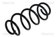 Fahrwerksfeder Hinterachse TRISCAN 8750 6970