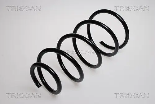 Fahrwerksfeder Vorderachse TRISCAN 8750 8001