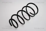 Fahrwerksfeder Vorderachse TRISCAN 8750 8001