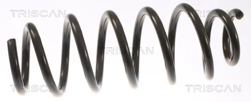 Fahrwerksfeder Vorderachse TRISCAN 8750 8101