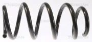 Fahrwerksfeder Hinterachse TRISCAN 8750 8102