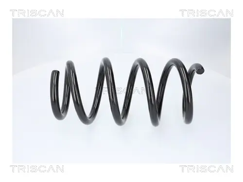 Fahrwerksfeder Hinterachse TRISCAN 8750 8109