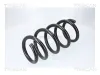 Fahrwerksfeder Hinterachse TRISCAN 8750 8109 Bild Fahrwerksfeder Hinterachse TRISCAN 8750 8109
