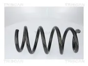Fahrwerksfeder Hinterachse TRISCAN 8750 8110